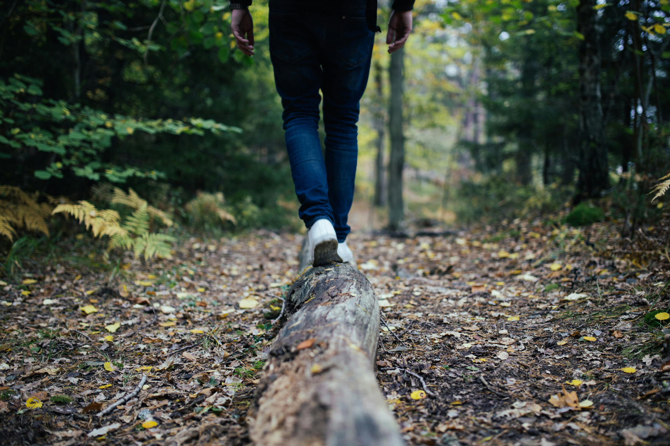 Prioritise wellbeing